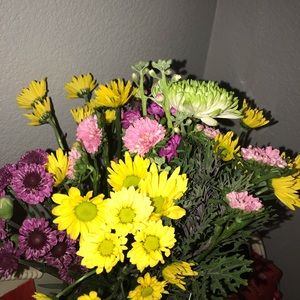 Meet your Posher, Annaleez